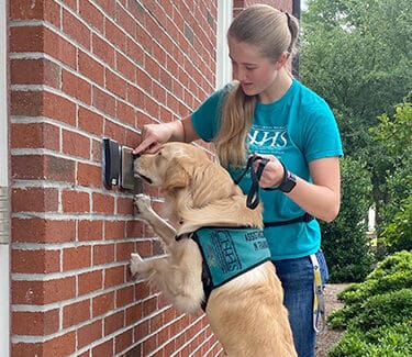 program for training assistance dogs Wilmington, NC