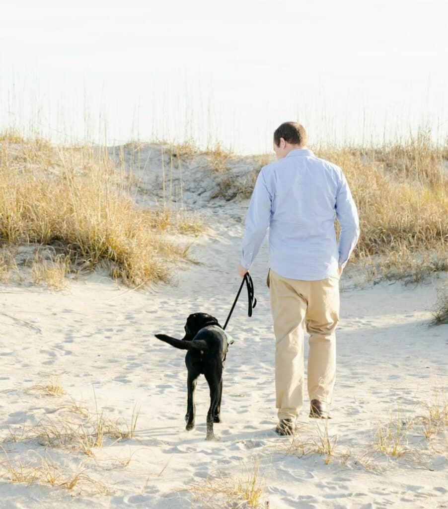 black lab service dog in vest walking on beach with handler
