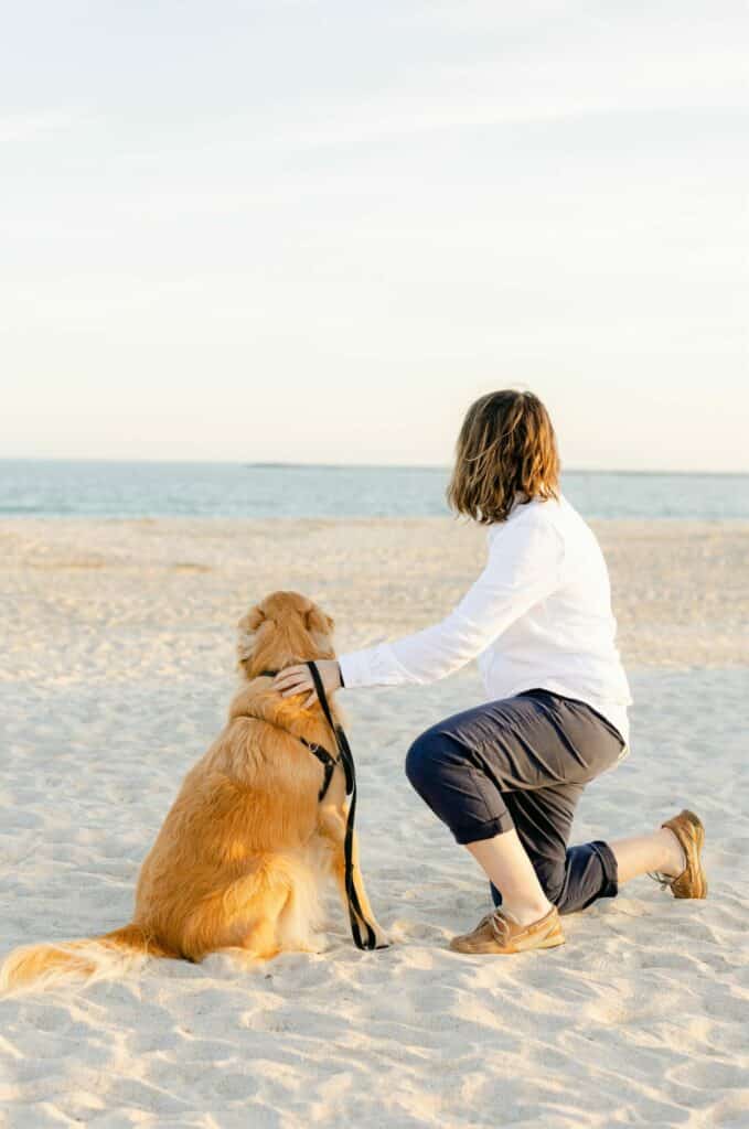 golden retriever service dog sitting on beach with handler looking at ocean
